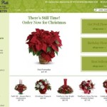 Posies By Patti Floral and Gifts